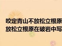 咬定青山不放松立根原在破巖中寫(xiě)的什么植物（咬定青山不放松立根原在破巖中寫(xiě)的植物是啥）