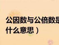公因數(shù)與公倍數(shù)是什么東東（公因數(shù)和公倍數(shù)什么意思）