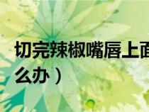 切完辣椒嘴唇上面辣（切辣椒摸到嘴上很辣怎么辦）