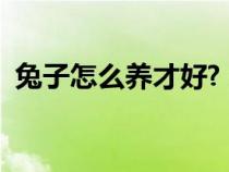 兔子怎么養(yǎng)才好?(兔子怎么養(yǎng)怎么養(yǎng)兔子) 兔子怎么養(yǎng)才好?(兔子怎么養(yǎng)怎么養(yǎng)兔子)