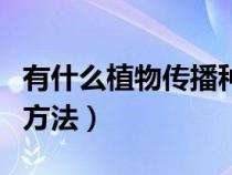 有什么植物傳播種子的方法（植物傳播種子的方法）