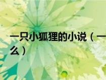 一只小狐貍的小說(shuō)(一只狐貍穿越太子妃與康熙小說(shuō)名是什么) 一只小狐貍的小說(shuō)(一只狐貍穿越太子妃與康熙小說(shuō)名是什么)