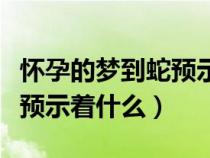 懷孕的夢(mèng)到蛇預(yù)示著什么意思（懷孕的夢(mèng)到蛇預(yù)示著什么）