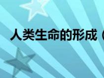 人類生命的形成（人的生命是怎么形成的）