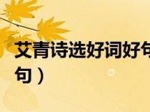 艾青詩選好詞好句好段摘抄（艾青詩選好詞好句）