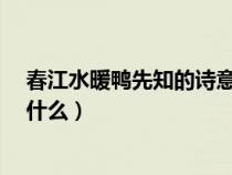 春江水暖鴨先知的詩意是什么?(春江水暖鴨先知的意思是什么) 春江水暖鴨先知的詩意是什么?(春江水暖鴨先知的意思是什么)