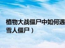 植物大戰(zhàn)僵尸中如何遇到雪人僵尸（植物大戰(zhàn)僵尸如何遇到雪人僵尸）