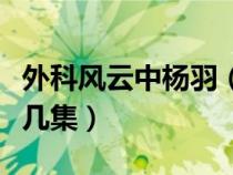 外科風(fēng)云中楊羽（外科風(fēng)云帶楊羽回別墅是第幾集）