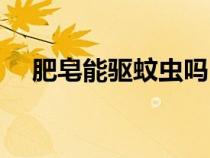 肥皂能驅(qū)蚊蟲(chóng)嗎(肥皂可以驅(qū)蚊驅(qū)蟲(chóng)嗎) 肥皂能驅(qū)蚊蟲(chóng)嗎(肥皂可以驅(qū)蚊驅(qū)蟲(chóng)嗎)