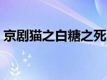 京劇貓之白糖之死(京劇貓之白糖神秘身世) 京劇貓之白糖之死(京劇貓之白糖神秘身世)