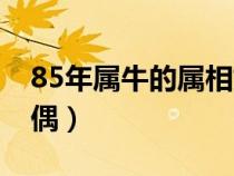 85年屬牛的屬相婚配表（85年屬牛的最佳配偶）