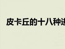 皮卡丘的十八種進(jìn)化（皮卡丘有幾種進(jìn)化）