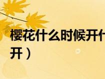 櫻花什么時候開什么時候結束（櫻花什么時候開）