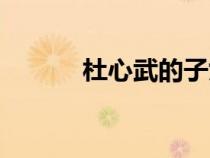 杜心武的子女（杜心武大結(jié)局）