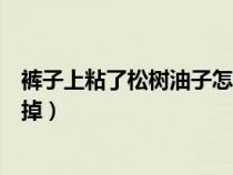褲子上粘了松樹油子怎么能去掉（褲子上松樹油干了怎么去掉）