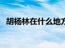 胡楊林在什么地方呀(胡楊林在什么地方) 胡楊林在什么地方呀(胡楊林在什么地方)