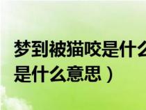 夢(mèng)到被貓咬是什么意思周公解夢(mèng)（夢(mèng)到被貓咬是什么意思）