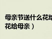 母親節(jié)送什么花給母親合適呢(母親節(jié)送什么花給母親) 母親節(jié)送什么花給母親合適呢(母親節(jié)送什么花給母親)