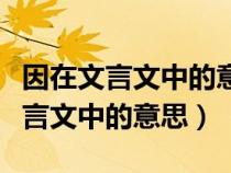因在文言文中的意思和例句初中課本（因在文言文中的意思）