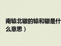 南轅北轍的轅和轍是什么意思圖片（南轅北轍的轅和轍是什么意思）