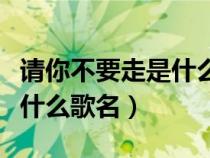 請(qǐng)你不要走是什么歌名是什么（請(qǐng)你不要走是什么歌名）