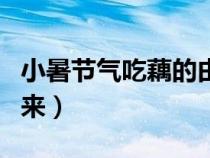 小暑節(jié)氣吃藕的由來簡介（小暑節(jié)氣吃藕的由來）