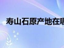 壽山石原產(chǎn)地在哪里（壽山石產(chǎn)地在哪兒）