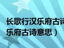 長歌行漢樂府古詩意思和中心思想（長歌行漢樂府古詩意思）