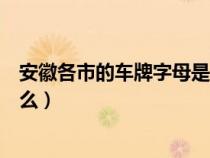 安徽各市的車牌字母是什么樣的（安徽各市的車牌字母是什么）