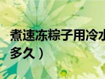 煮速凍粽子用冷水還是熱水（煮速凍粽子要煮多久）