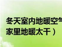冬天室內(nèi)地暖空氣干燥怎么辦（如何解決冬天家里地暖太干）