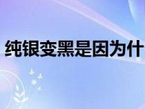 純銀變黑是因?yàn)槭裁矗冦y變黑是什么原因）