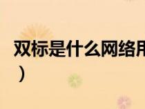 雙標(biāo)是什么網(wǎng)絡(luò)用語(yǔ)(網(wǎng)絡(luò)用語(yǔ)雙標(biāo)什么意思) 雙標(biāo)是什么網(wǎng)絡(luò)用語(yǔ)(網(wǎng)絡(luò)用語(yǔ)雙標(biāo)什么意思)