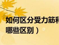 如何區(qū)分受力筋和分布筋（受力筋和分布筋有哪些區(qū)別）