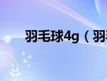 羽毛球4g（羽毛球男生4u好還是3u）