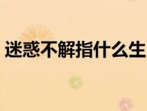 迷惑不解指什么生肖動物（迷惑不解指什么）