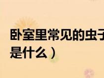 臥室里常見的蟲子圖片（床上有極小的小蟲爬是什么）