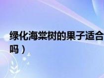 綠化海棠樹的果子適合吃嗎圖片（綠化海棠樹的果子適合吃嗎）