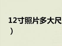 12寸照片多大尺寸大?。?2寸照片多大尺寸）