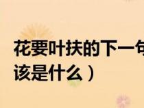 花要葉扶的下一句是什么（花要葉扶下一句應(yīng)該是什么）
