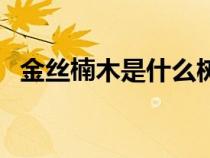 金絲楠木是什么樹種（金絲楠木是什么樹）
