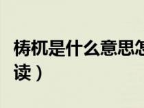 梼杌是什么意思怎么讀（廾匸是什么意思怎么讀）