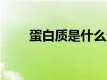 蛋白質(zhì)是什么元素（蛋白質(zhì)是什么）