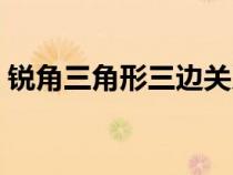 銳角三角形三邊關系（鈍角三角形三邊關系）