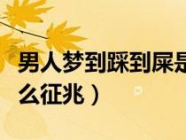 男人夢到踩到屎是什么征兆(夢到踩到屎是什么征兆) 男人夢到踩到屎是什么征兆(夢到踩到屎是什么征兆)