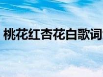桃花紅杏花白歌詞大全（桃花紅杏花白歌詞）
