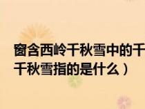 窗含西嶺千秋雪中的千秋雪是指什么（窗含西嶺千秋雪里的千秋雪指的是什么）