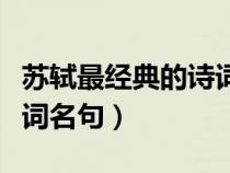 蘇軾最經(jīng)典的詩詞名句題林（蘇軾最經(jīng)典的詩詞名句）