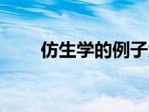 仿生學(xué)的例子大全（仿生學(xué)的例子）