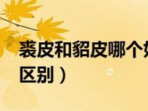 裘皮和貂皮哪個好?（裘皮大衣和貂皮大衣的區(qū)別）